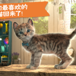 Little Kitten：虚拟宠物猫-IPA资源免费下载站-IPA宝库-IPA商店-iPhone/iPad IPA软件安装包下载与iOS教程分享iPA应用商店-iOS免签安装-ipa免费下载与分享平台